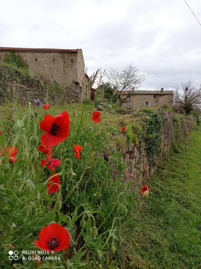 Ferme de fenivou Boulieu-les-Annonay Exterior foto