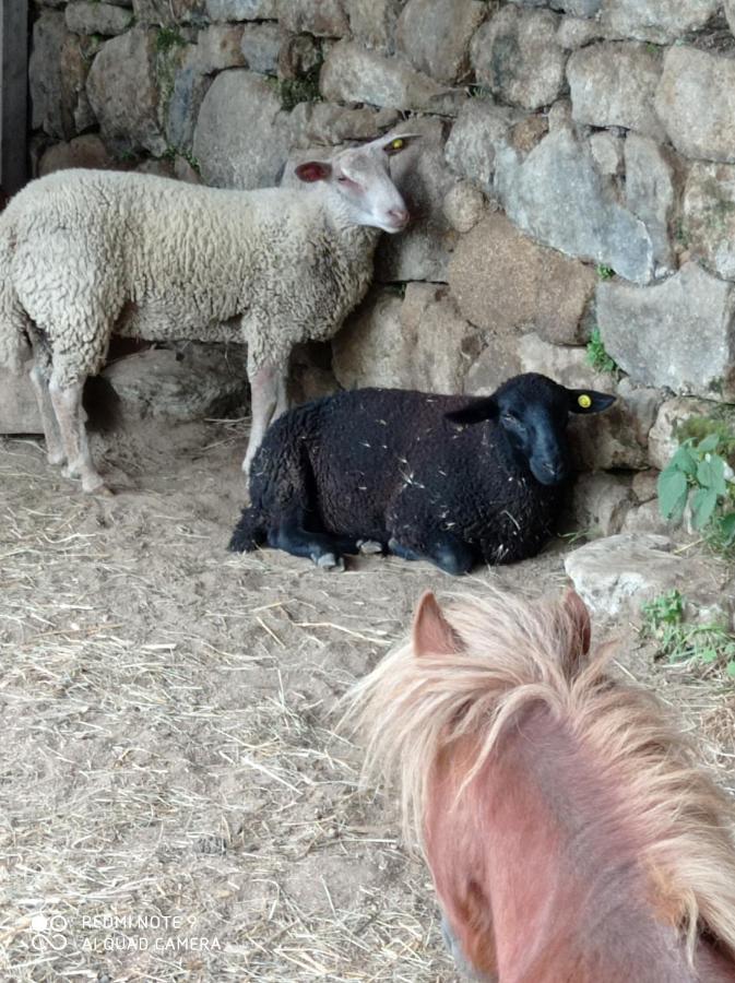 Ferme de fenivou Boulieu-les-Annonay Exterior foto